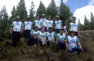 Recuperan importantes zonas de Ecuador con jornadas de reforestación