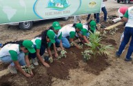 Recuperan importantes zonas de Ecuador con jornadas de reforestación