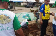 Recuperan importantes zonas de Ecuador con jornadas de reforestación