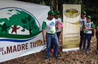 Recuperan importantes zonas de Ecuador con jornadas de reforestación