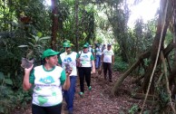 Recuperan importantes zonas de Ecuador con jornadas de reforestación