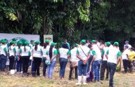 Recuperan importantes zonas de Ecuador con jornadas de reforestación