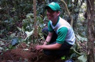 Recuperan importantes zonas de Ecuador con jornadas de reforestación