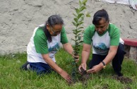 3.556 especies emblemáticas fueron sembradas en México