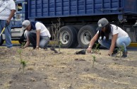 3.556 especies emblemáticas fueron sembradas en México