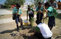 3.556 especies emblemáticas fueron sembradas en México