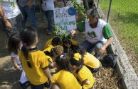 3.556 especies emblemáticas fueron sembradas en México