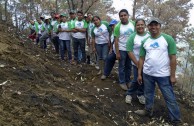 Guatemala obsequia 2.515 árboles a la Tierra en su día