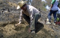 Guatemala obsequia 2.515 árboles a la Tierra en su día
