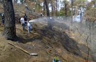 Gran movimiento mundial celebró la vida de la Madre Tierra y generó acciones por su paz y restauración