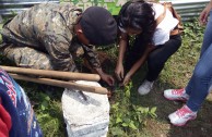 Guatemala obsequia 2.515 árboles a la Tierra en su día