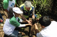 Guatemala obsequia 2.515 árboles a la Tierra en su día