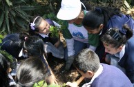 Guatemala obsequia 2.515 árboles a la Tierra en su día