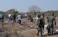 Guatemala obsequia 2.515 árboles a la Tierra en su día