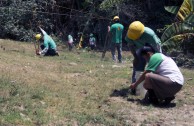 Guatemala obsequia 2.515 árboles a la Tierra en su día