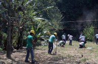 Guatemala obsequia 2.515 árboles a la Tierra en su día