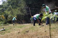 Guatemala obsequia 2.515 árboles a la Tierra en su día