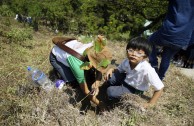 Guatemala obsequia 2.515 árboles a la Tierra en su día