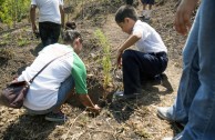 Guatemala obsequia 2.515 árboles a la Tierra en su día