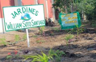 Jornadas de Arborizacion en Peru