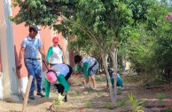 Jornadas de Arborizacion en Peru