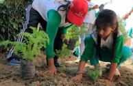 Gran movimiento mundial celebró la vida de la Madre Tierra y generó acciones por su paz y restauración