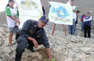 Jornadas de Arborizacion en Peru