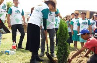 Jornadas de Arborizacion en Peru