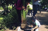 Gran movimiento mundial celebró la vida de la Madre Tierra y generó acciones por su paz y restauración