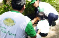 Jornadas de Arborizacion en Peru