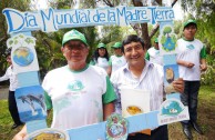 Jornadas de Arborizacion en Peru