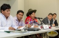La EMAP presenta ante el Parlamento Latinoamericano su proyecto para la defensa y garantía de los derechos de la Madre Tierra como un ser vivo.