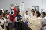 Guatemala successfully closed its participation in the 6th International Blood Drive Marathon