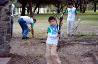 Activistas de la EMAP realizan labores de mantenimiento al Bosque William Soto