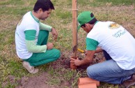 Activistas de la EMAP realizan labores de mantenimiento al Bosque William Soto