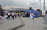 Con éxito se realizó en Colombia la 6ª Maratón Internacional “En la Sangre está la Vida”