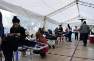 Día Mundial del Donante de Sangre: reconocida labor altruista de los argentinos