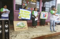 7,350 students in Guatemala receive environmental training for the care and restoration of Mother Earth 