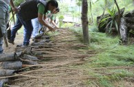 7.350 estudiantes en Guatemala reciben formación ambiental para el cuidado y restauración de la Madre Tierra