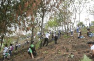 7.350 estudiantes en Guatemala reciben formación ambiental para el cuidado y restauración de la Madre Tierra