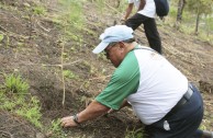 7,350 students in Guatemala receive environmental training for the care and restoration of Mother Earth 