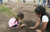 7,350 students in Guatemala receive environmental training for the care and restoration of Mother Earth 