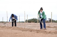 Nuevos árboles en el “Bosque Dr. William Soto” de Villa Los Corralitos