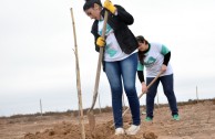 Nuevos árboles en el “Bosque Dr. William Soto” de Villa Los Corralitos