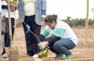 Nuevos árboles en el “Bosque Dr. William Soto” de Villa Los Corralitos