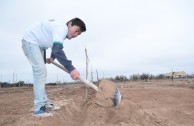 New Trees in the “Dr. William Soto Forest” in Villa Los Corralitos