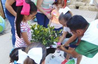 Celebración del Día Mundial del Medio Ambiente en los Estados Unidos 