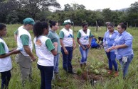 Los Guardianes por la Paz de la Madre Tierra se unen al II Gran Día Nacional de Reforestación en Panamá