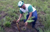 Los Guardianes por la Paz de la Madre Tierra se unen al II Gran Día Nacional de Reforestación en Panamá