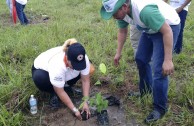 Los Guardianes por la Paz de la Madre Tierra se unen al II Gran Día Nacional de Reforestación en Panamá